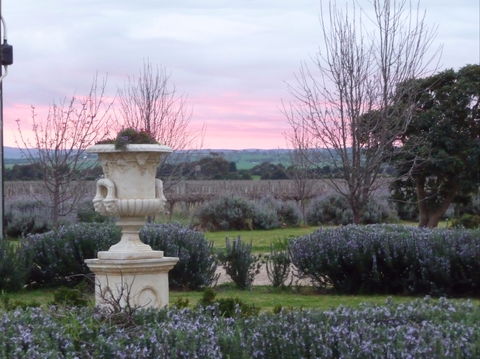 Angas Plains Wines Suites - Local Tourism 2