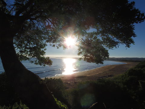 Apex Beachside Holiday Park - Accommodation Australia 1