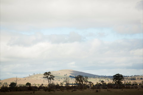 Aurelias Farm Bed And Breakfast - Bed n Breakfasts 1