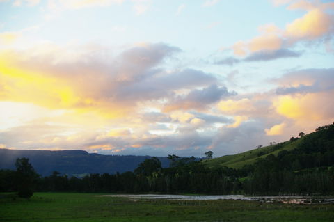 Back Forest Retreat - Local Tourism 0