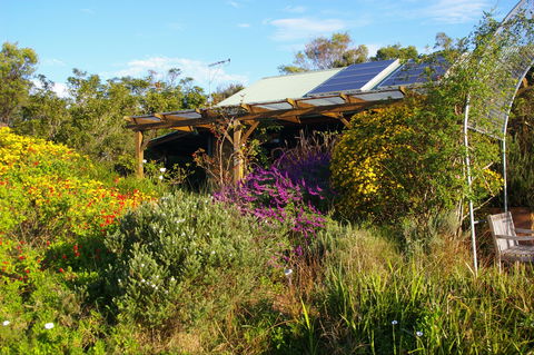 Back Forest Retreat - Local Tourism 2
