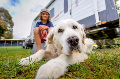 BIG4 St Helens Holiday Park - Local Tourism 2