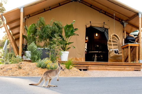 BIG4 Anglesea Holiday Park - Accommodation Australia 2