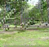 Broadwater camping area Abergowrie State Forest - Accommodation Australia