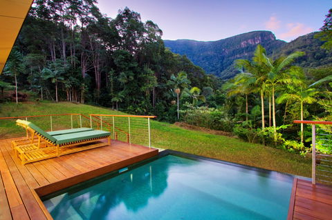Crystal Creek Rainforest Retreat - Local Tourism 1
