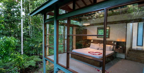 Crystal Creek Rainforest Retreat - Local Tourism 2