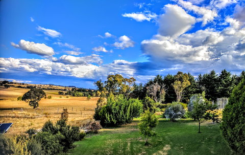Dairy Park Farm Stay Bed And Breakfast - Accommodation Australia 1