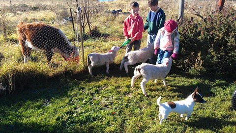 Dairy Park Farm Stay Bed And Breakfast - Accommodation Australia 2