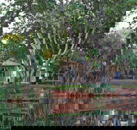 Discovery Parks - Lake Kununurra - Accommodation Australia