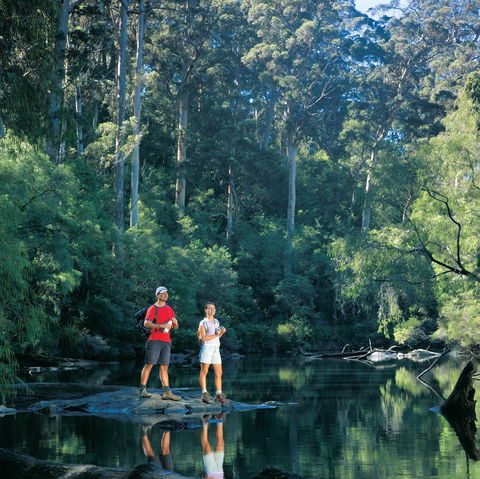 Drafty's Camp At Warren National Park - Local Tourism 0