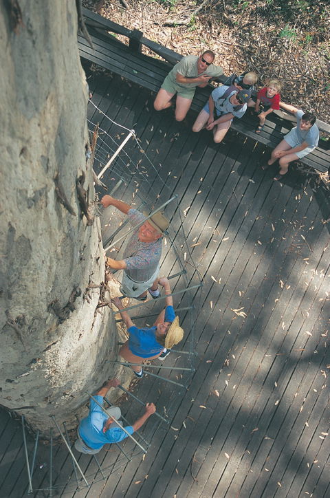 Drafty's Camp At Warren National Park - Local Tourism 1