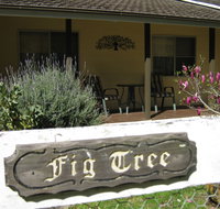 Figtree Cottage - Accommodation Australia