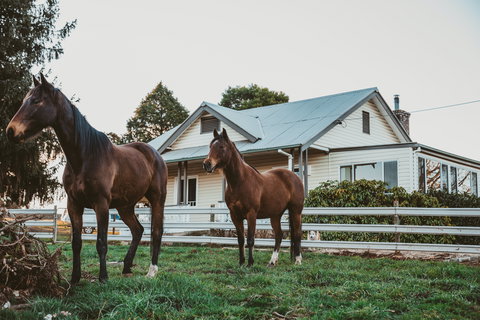 Glenburnie Cottage - Accommodation Australia 0