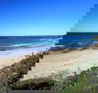 Holiday Haven Swan Lake - Local Tourism