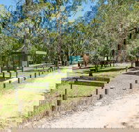 Mogo campground - Local Tourism