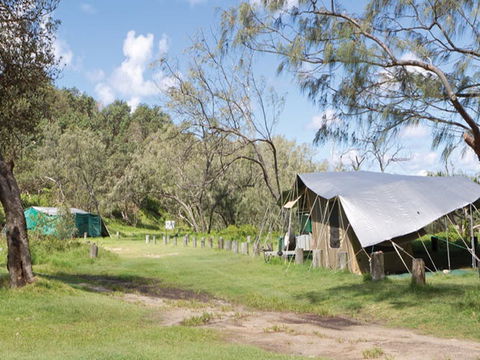 Pebbly Beach Campground - Yuraygir National Park - Local Tourism 0