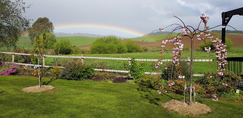 Platypus Cottage - Local Tourism 0