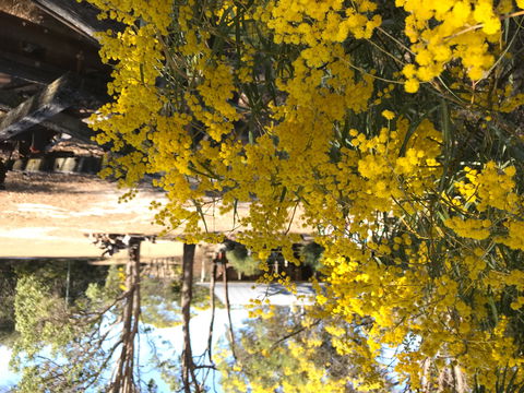 Possum's Hollow And Hooter's Hut - Australia Shopping 1