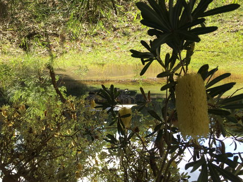 Possum's Hollow And Hooter's Hut - Australia Shopping 2