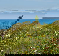 Preston Beach Front Apartment - Local Tourism