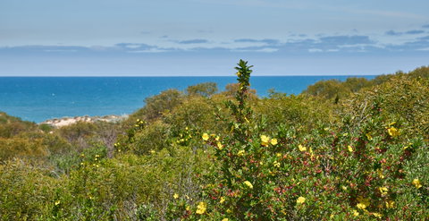 Preston Beach Front Apartment - Local Tourism 0