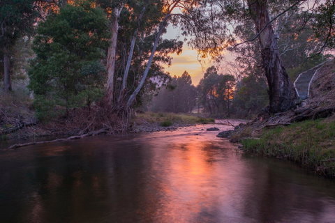 Riverdowns - Accommodation Australia 1