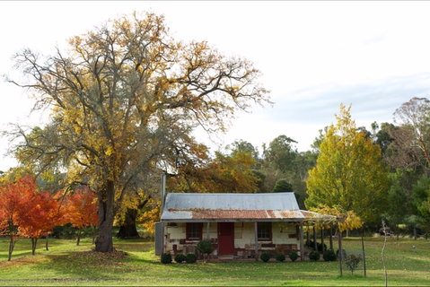 Riverdowns - Accommodation Australia 2