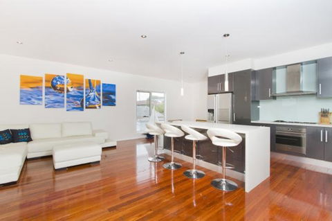 Shellharbour Seabird - Local Tourism 1