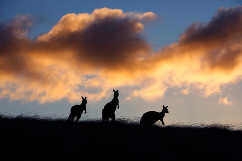 Sky House LifeTime Private Retreats - Accommodation Australia 1