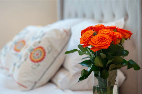 The Nest At Gundaroo - Accommodation Australia 1