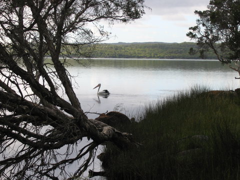 The Cove - Local Tourism 0