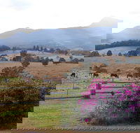The Barn  House Farm Stay at Possum Manor - Local Tourism