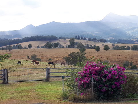 The Barn  House Farm Stay At Possum Manor - Local Tourism 0