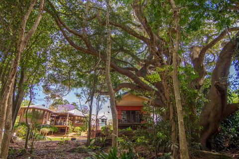 The African Village - By Clouds - Local Tourism 0