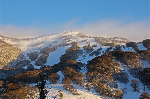 Thredbo YHA Snowy Mountains - Local Tourism 2
