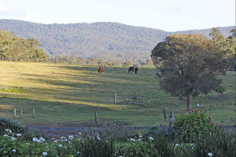 Wallaby Cottage - Accommodation Australia 0