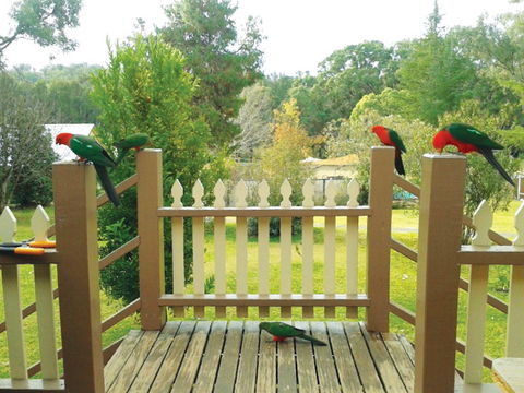 Warrumbungles Mountain Motel - Accommodation Australia 0