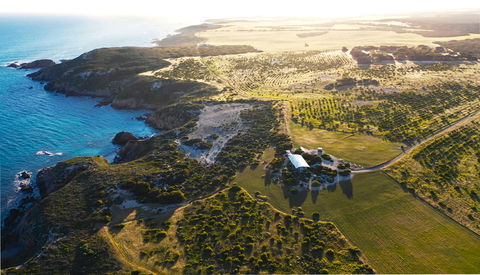 Yondah Beach House - Accommodation Australia 1