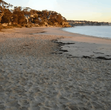 Beachhaven Bed & Breakfast - Accommodation Australia 5