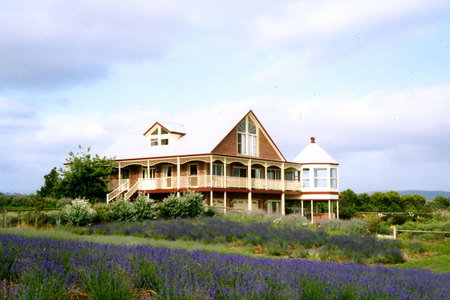 Serendipity Lavender Farm - Local Tourism 0