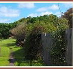 Orchard Cottage - Accommodation Australia