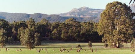 Wartook Gardens - Accommodation Australia 1