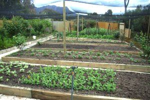 Wartook Gardens - Accommodation Australia 3