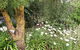 Springbank Bed And Breakfast - thumb 0