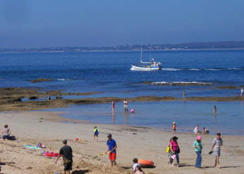 QueenscliffeTourist Park - Accommodation Australia 0