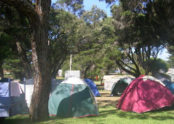 QueenscliffeTourist Park - Accommodation Australia 2