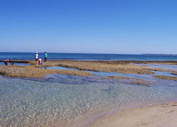 QueenscliffeTourist Park - Accommodation Australia 3