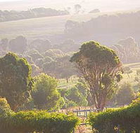 Mackas Farm - Accommodation Australia