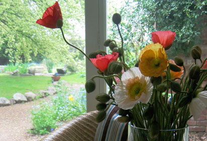 Farmers Arms Retreat - Accommodation Australia 1