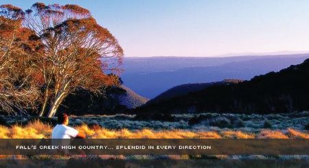 Alpine View Apartments - Accommodation Australia 1